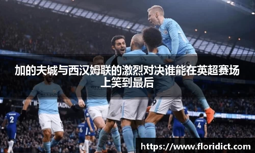 加的夫城与西汉姆联的激烈对决谁能在英超赛场上笑到最后